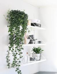 Fyi These Are The 5 Best Hanging Plants For Self Professed Black Thumbs Indoor Vines Hanging Plants Indoor Plant Decor Indoor
