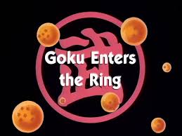 Goku's saiyan birth name, kakarot, is a pun on carrot. Goku Enters The Ring Dragon Ball Wiki Fandom