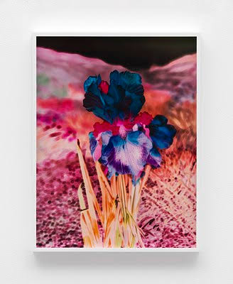 Work by Lisa Oppenheim