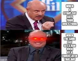 Image Tagged In Dr Phil Imgflip