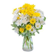 Port saint lucie, fl 34952: Dazed Daisies Flower Delivery Beautiful Bouquet Of Flowers Spring Flowers