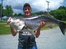 Check spelling or type a new query. Just A Lake Cumberland Visit Russell County Ky Facebook