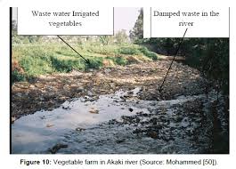 Joe crowley reveals how some big water companies illegally dump untreated sewage.joe crowley reveals how some big water companies fish killed in 'devastating' pollution incident. Contamination Of Rivers And Water Reservoirs In And Around Addis Ababa City And Actions To Combat It Omics International