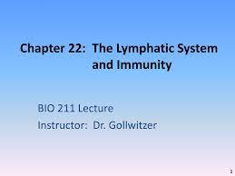 Ppt Chapter 22 The Lymphatic System And Immunity Powerpoint Presentation Id 9727176