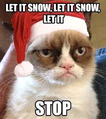 Grumpy Cat Snow Memes