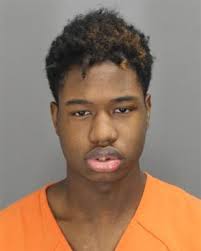 Teenager charged in slaying of Eastpointe woman working as Lyft driver