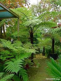 Pin By Linda Jan On Tropical Gardens Tropical Garden Design Tropical Backyard Landscaping Tropical Garden Plants