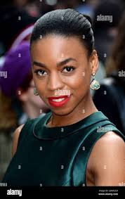 Bennett warner hi-res stock photography and images