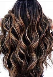 Hairless Cat Denver In Hairspray Obc Caste Haircut Near Me Japanese Without Hair Salon Near Me Newark Nj Hai Ombre Hair Blonde Brunette Hair Color Dyed Hair