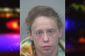 Mandi Mcguire — Gwinnett County Jail Bookings