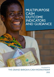 Multipurpose cash outcome indicators and guidance