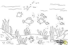 Image Result For Underwater Pictures To Draw | Underwater Pictures,  Pictures To Draw, Drawings