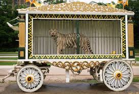 chapter 2 the circus this is how i imagined ren to look in the wagon the circus emplyees brought him out in the first time kelsey saw him t サーカステーマ サーカス 黒執事