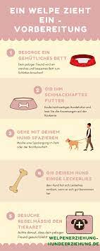 Ein Welpe Zieht Ein Diese 10 Tipps Solltest Du Unbedingt Beachten