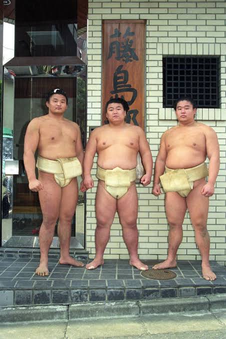 初場所新番付】少子化の影響？力士数が約45年ぶりに500人台 最盛期から４割落ち込み - 大相撲写真ニュース : 日刊スポーツ