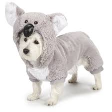 Zack And Zoey Koala Dog Costume Small Wow I Love This Check It Out Now Costumes For Dog Koala Costume Dog Costumes Dog Halloween