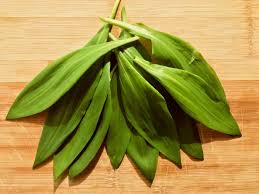 Garlic seed is an item added by the pam's harvestcraft mod. Wild Garlic Spring Is Coming Major Online Business And Marketing