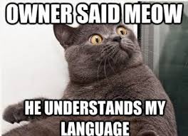 Photos of our fascinating world. Pictures Of Funny Animals With Captions