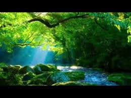8d Audio Halleluja Kirchliche Trauung 8d Entspannungsmusik Meditation Musik Meditation Entspannung