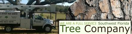 No matter the size, difficulty, and condition of your tree, we can help. Protecting From Falling Trees Or Dangerous Limbs Brown S Budget Trees