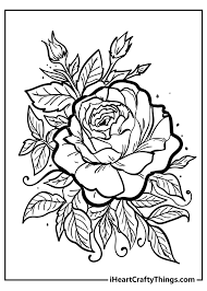 Various and pretty good coloring pages to color and offer them to family. Rose Coloring Pages Original And 100 Free 2021