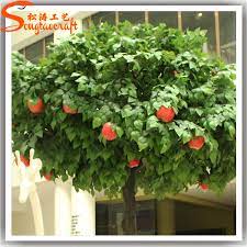 Door wreath fake fruit tree frosted fake branch artificial plants fabric decor wreath decor fruit fake tree ins artificial plants autumn wedding table decorations apple color plastic film trees artificialb tree. Guangzhou Factory Wholesale Cheap Indoor Artificial Fake Plastic Evergreen Tropical Fruit Trees Apple Trees For Sale Buy Fruit Trees Fruit Trees For Sale Tropical Fruit Trees Product On Alibaba Com