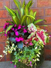 8 Stunning Container Gardening Ideas Container Flowers Diy Container Gardening Container Gardening Flowers