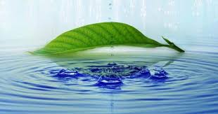 إذا أردت أن تحيا سليما من الردى موسوعة أقوال وحكم