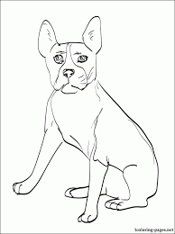 The boston terrier is a small dog with a white face in the middle and black on the sides. Boston Terrier Coloring Page Coloring Library