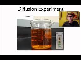 You will not submit this worksheet, but you will refer to your answers as you take the week 6 virtual lab. Diffusion Demo Youtube