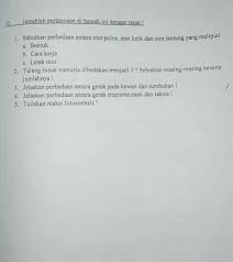 Tulang rusuk palsu memiliki jumlah. Tulang Rusuk Manusia Dibedakan Menjadi 3 Sebutkan Masing Masing Beserta Jumlahnya Brainly Co Id