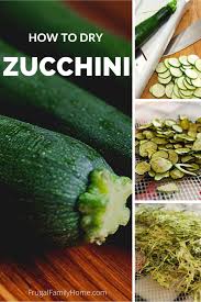 Can shredded zucchini be frozen for later use. Freezing And Dehydrating Zucchini Frugal Family Home