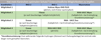 Kaninchen Impfungen