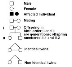 How Does A Pedigree Help Us To Trace A Trait That Is Inherited