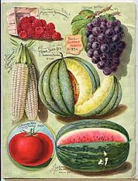 Larry Sedillo (larrysedillo)