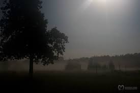 Marcus Coia Photography