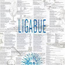 • ligabue cover chitarra balliamo sul mondo chitarra 1. Urlando Contro Il Cielo Come Suonarlo Con La Chitarra