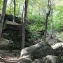 Profile Picture of Nelson Kennedy Ledges State Park - Wikipedia (@wikipedia.org) on Google