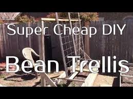 I used the same trellis that i had tomatoes on last year, and added mesh i made a mistake when i ordered the mesh netting, but i was able to improvise and correct that mistake. Easy Cheap Diy Bean Trellis For Your Garden Youtube