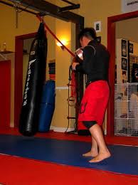 Caged Morality: Moral Worlds, Subculture, and Stratification Among  Middle-Class Cage-Fighters