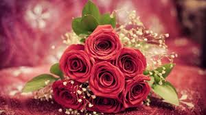 Hd rose rainbow wallpaper multicolor background image photography floral happy unique bouquet macro pattern unusual beautiful floral background beautiful flower close up close up flower close up flowers colored happy rose hd rose. It S Time To Shop For Wholesale Flowers Rose Flower Wallpaper Rose Flower Arrangements Flowers Bouquet
