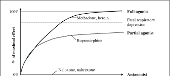Opioid receptor classification receptor prototypic drug proposed actions. Risk Of Respiratory Depression With Opioid Agonists Partial Agonists Download Scientific Diagram