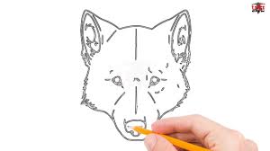 We circle around wolf drawings and any other art that has wolves in it. How To Draw A Wolf Head Step By Step Easy For Beginners Simple Wolves Drawing Tutorial Youtube