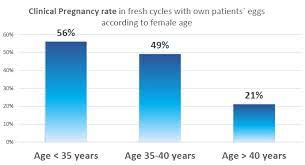 Ivf Donor Egg Success Rates Over 50 Physiological State In Excess Of 40 What You Hardship Just Before Have Information