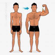 How To Know If You're An Ectomorph - Bony To Beastly