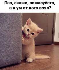 ум / смешные картинки и другие приколы: комиксы, гиф анимация, видео,  лучший интеллектуальный юмор.