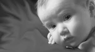 NEW DOLLAR AISLE! O'Reilly Auto Parts Named Region's Store of the Year