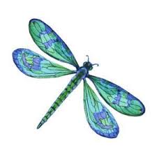 Serial Story Blog Isle Of Mystery Chapter 2 Watercolor Dragonfly Dragonfly Painting Dragonfly Drawing
