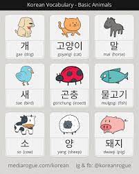 Korean Animal Names In 2021 Korean Language Korean Words Learn Korean