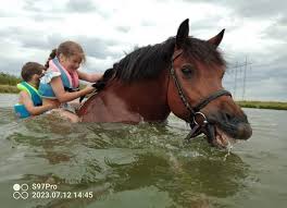 Image result for monika babi%u0161ov 